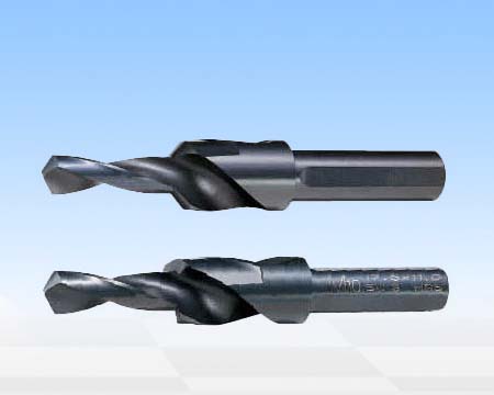 Countersunk bit for screw hole